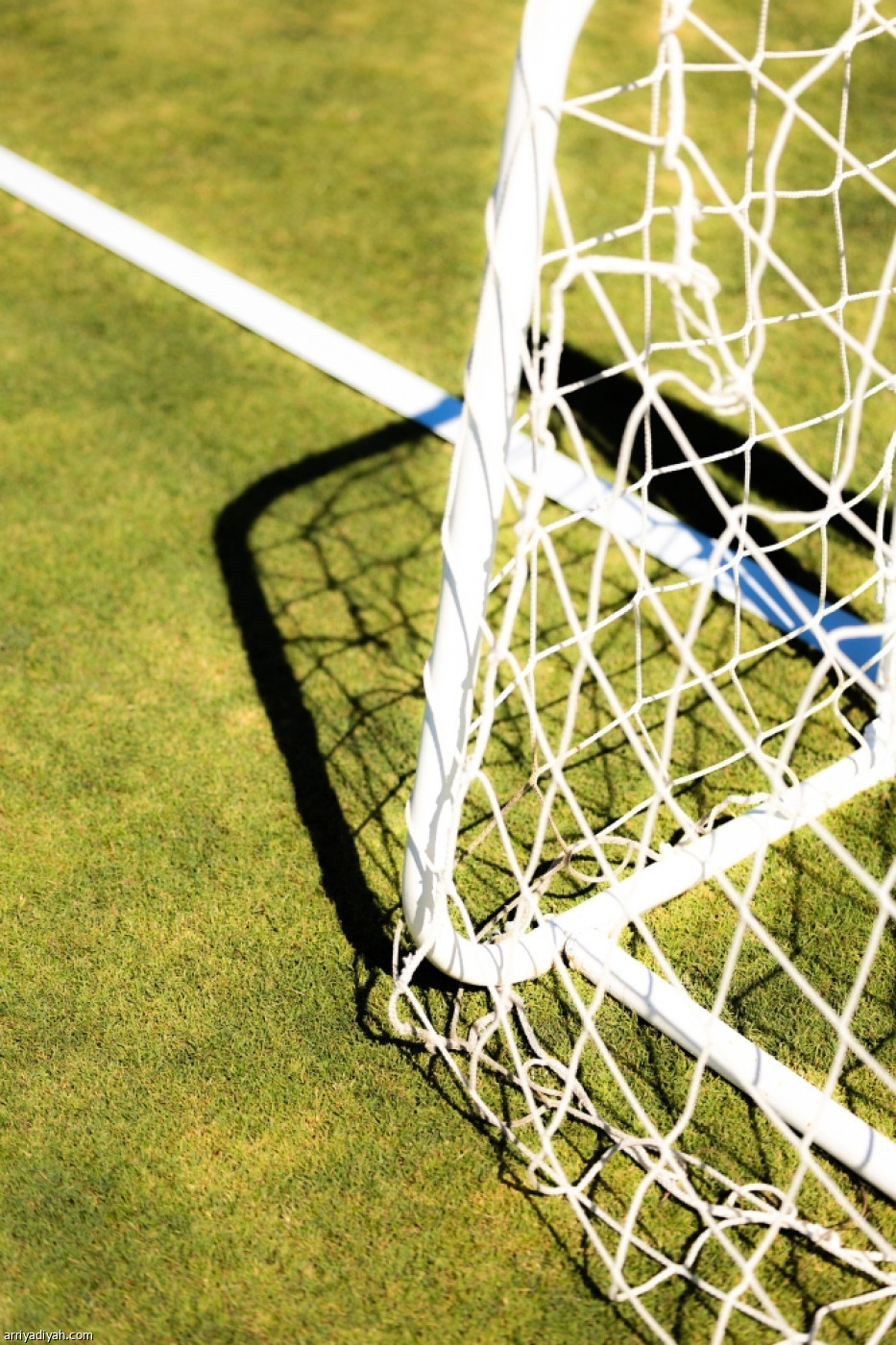 تأهيل الحراس