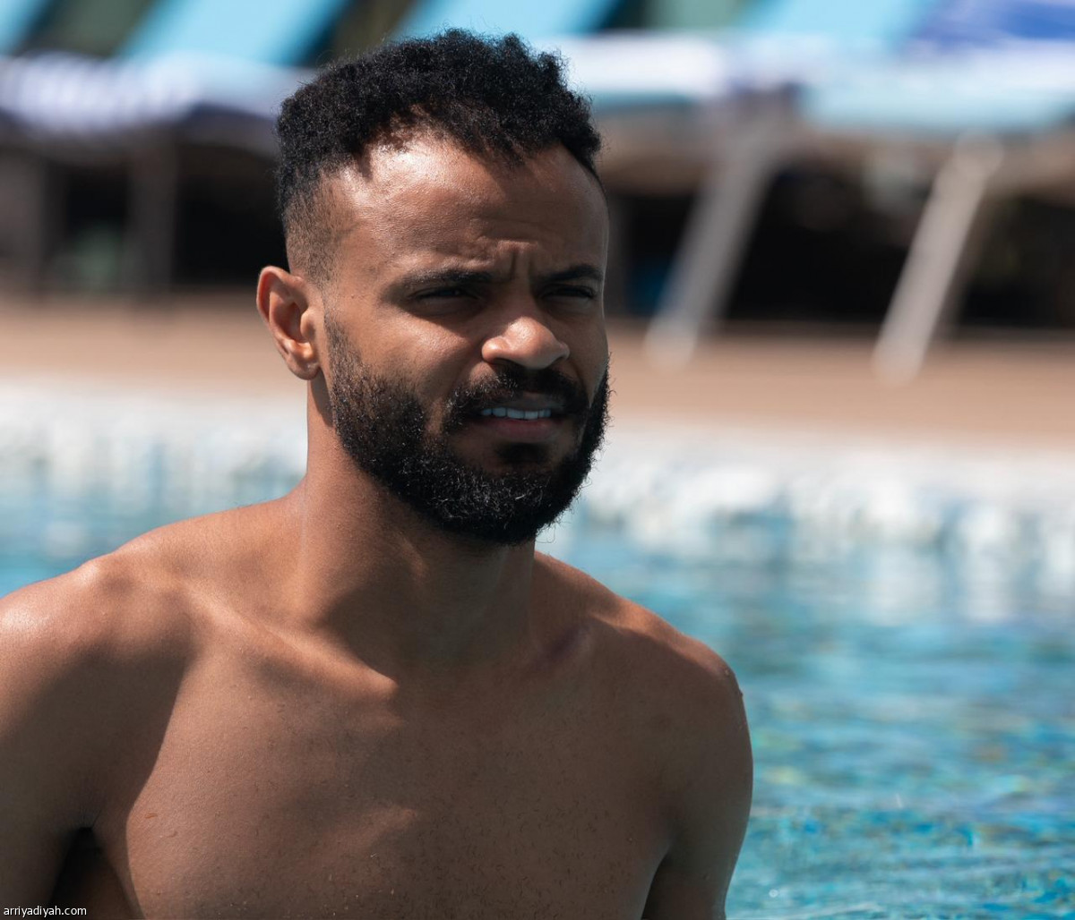 الصقور تتعافى