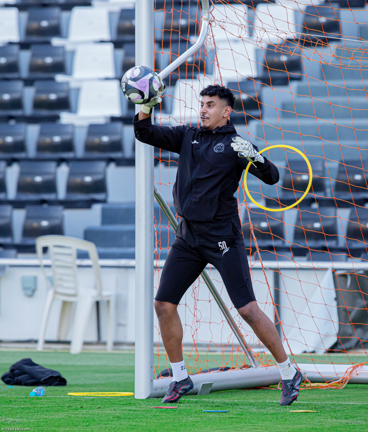 الليوث تعود