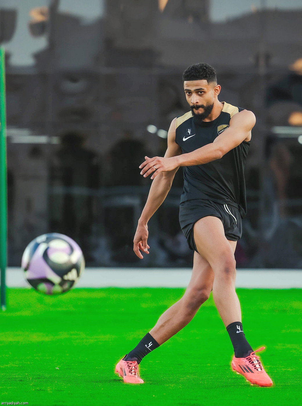 تحضيرات النمور