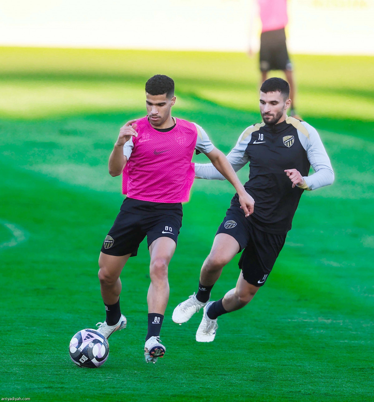 «النمور» تعاود الركض