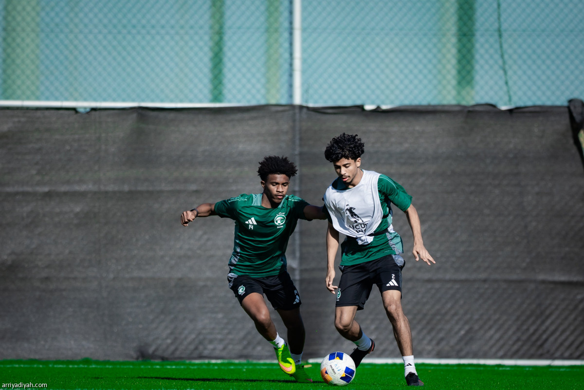 الصقور.. نهاية التحضيرات