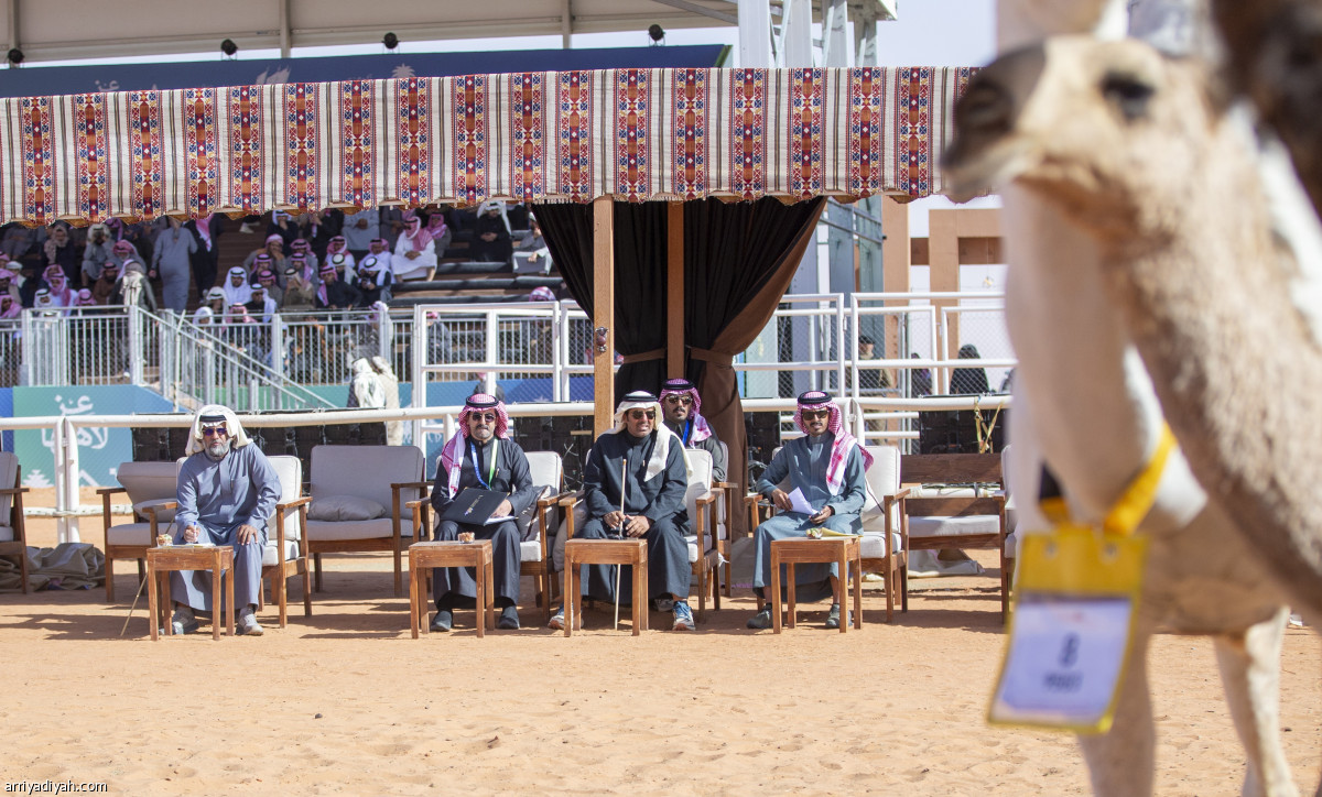 شوط «الرؤية»