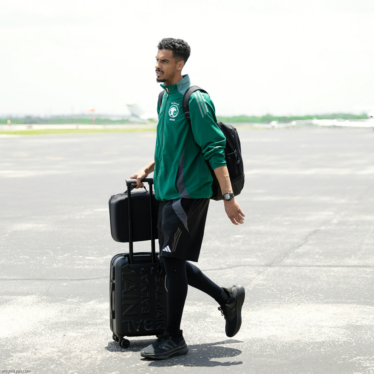 الصقور تطير