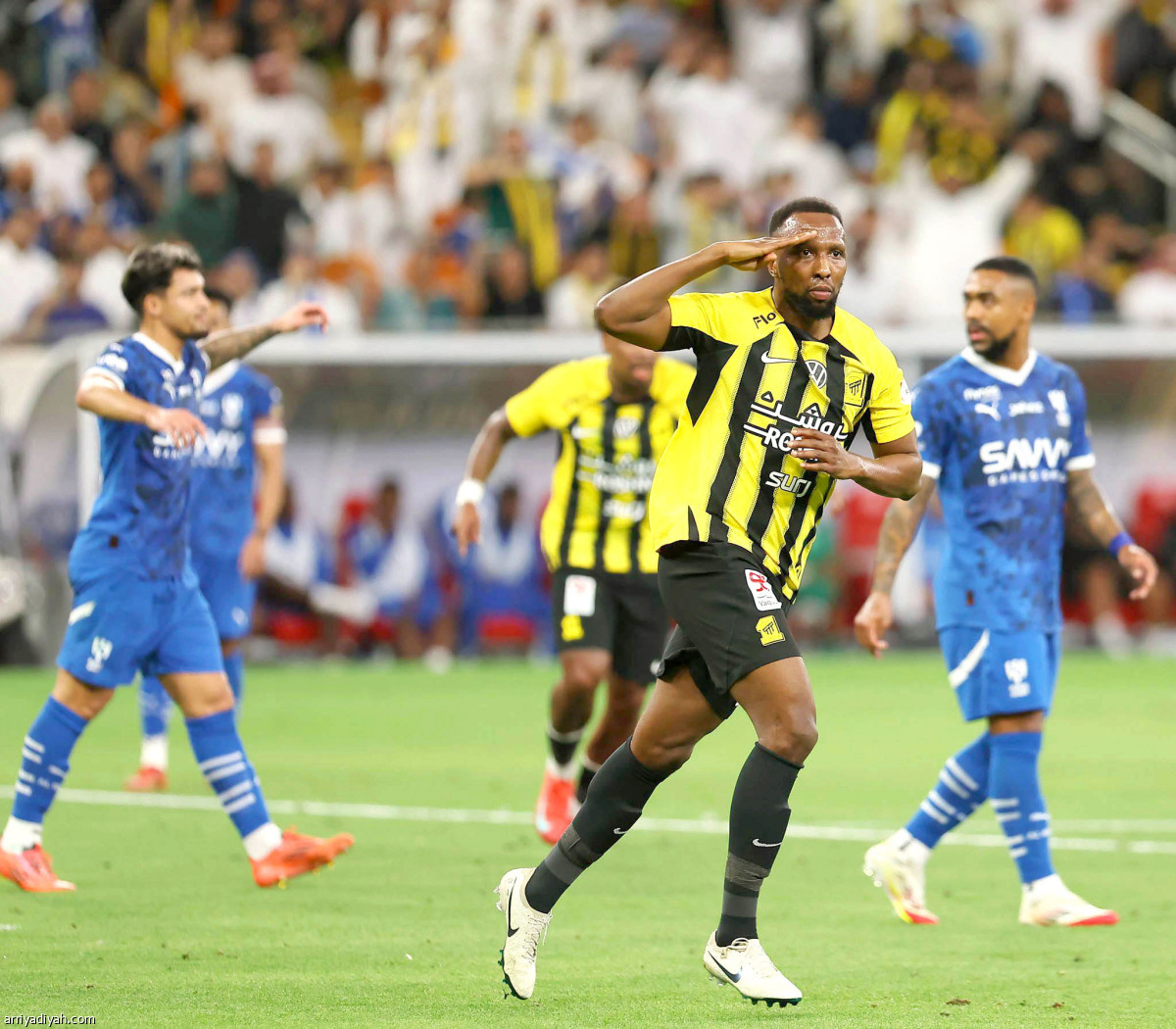 النمور تفرح