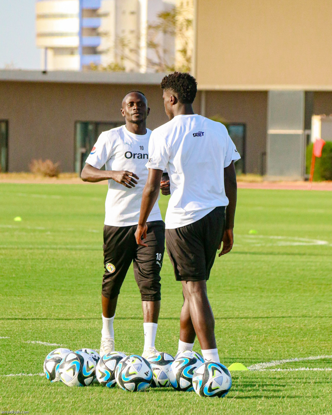 نجوم روشن.. انطلاقة دولية