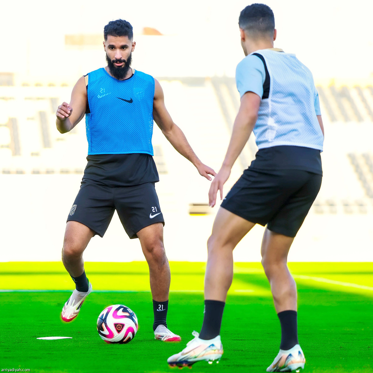 تحضيرات النمور