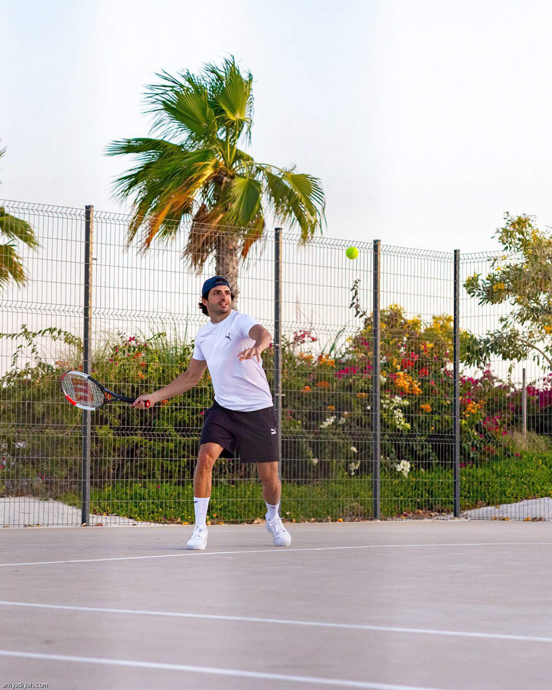 المتسابقون على البحر الأحمر